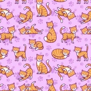 Orange Tabby Cat on Light Purple Pink