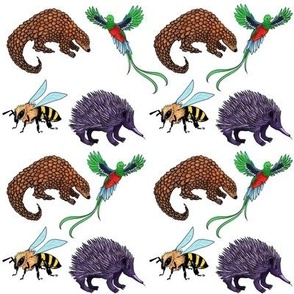 Equidna, Pangolin, Quetzal and Bee