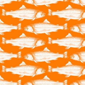 Hand drawn trout on orange background 