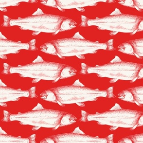 Hand drawn trout on red background  