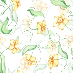Tender daffodils