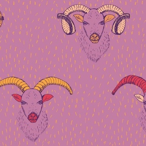 Wild Sheep_Mouflon Magic_pink