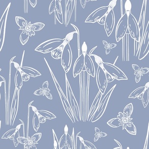 Snowdrops white line drawing on dark ice blue