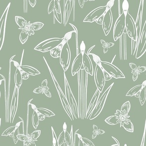Snowdrops white line drawing on sage green