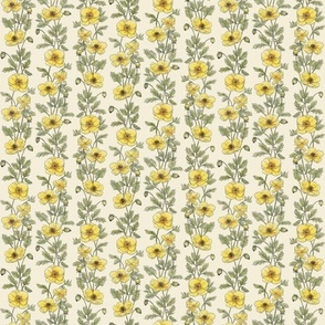 Bouton d'Or buttercup stripes (small)