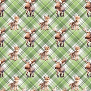 Baby Wolf and Mouse on Plaid