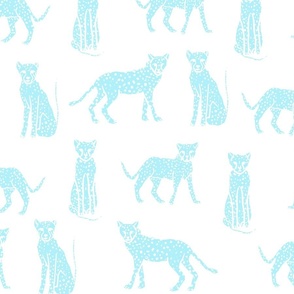 Baby blue cheetah cats on the white background 