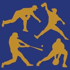 Baseball Players, High School Baseball, College Baseball, Boys Baseball, Mens Baseball, School Spirit, Blue & Gold, Blue & Yellow