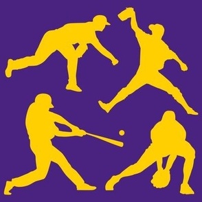 Baseball Players, High School Baseball, College Baseball, Boys Baseball, Mens Baseball, School Spirit, Purple & Gold, Purple & Yellow