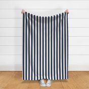 Cabana Stripes - Navy - Large (Coastal Chic)