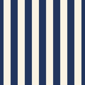 Cabana Stripes - Navy - Large (Coastal Chic)