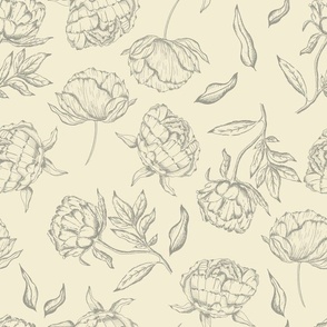 Vintage Modern Peony Sketch in Cream and Grey