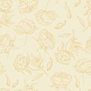 Vintage Modern Peony Sketch Botanical in Cream and Yellow