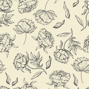 Vintage Modern Peony Sketch in Cream and Charcoal