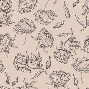 Vintage Modern Peony Sketch Pattern in Soft Pink and Charcoal