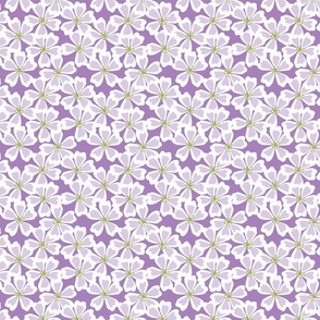 lavender flowers on light green and purple