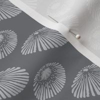 Sm Detailed Limpets, Monochrome Grey, Opihi Black and White Collection