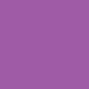 Bright purple solid color - amethyst - radiant orchid  - blender - single color