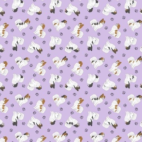 Tiny assorted Papillon Phalene - purple