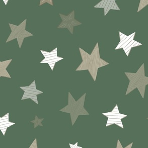 Holiday Stars 12 inch
