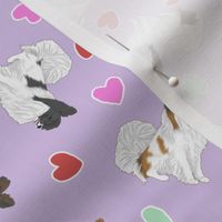 Tiny Papillon - Valentine hearts