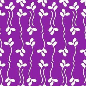 purple banyan