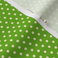 Green & Cream Polka-Dot