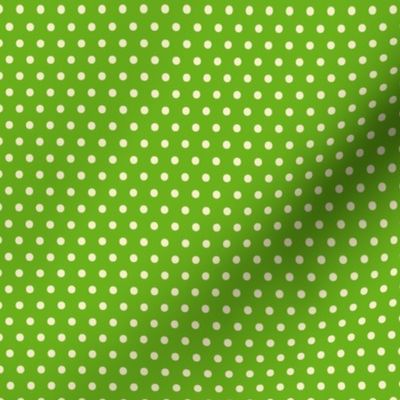 Green & Cream Polka-Dot