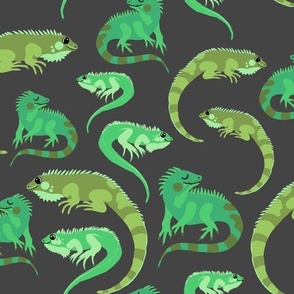 Green Iguanas on Charcoal Grey