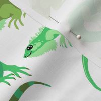 Green Iguanas on White, Medium