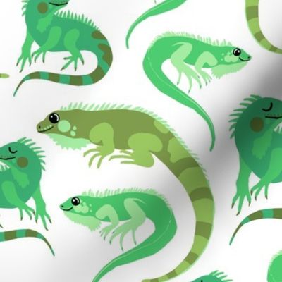 Green Iguanas on White, Medium