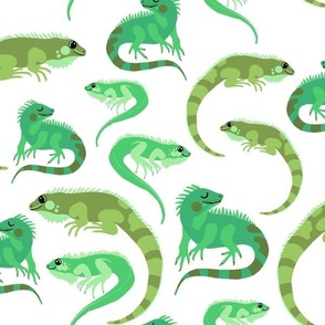 Green Iguanas on White, Medium