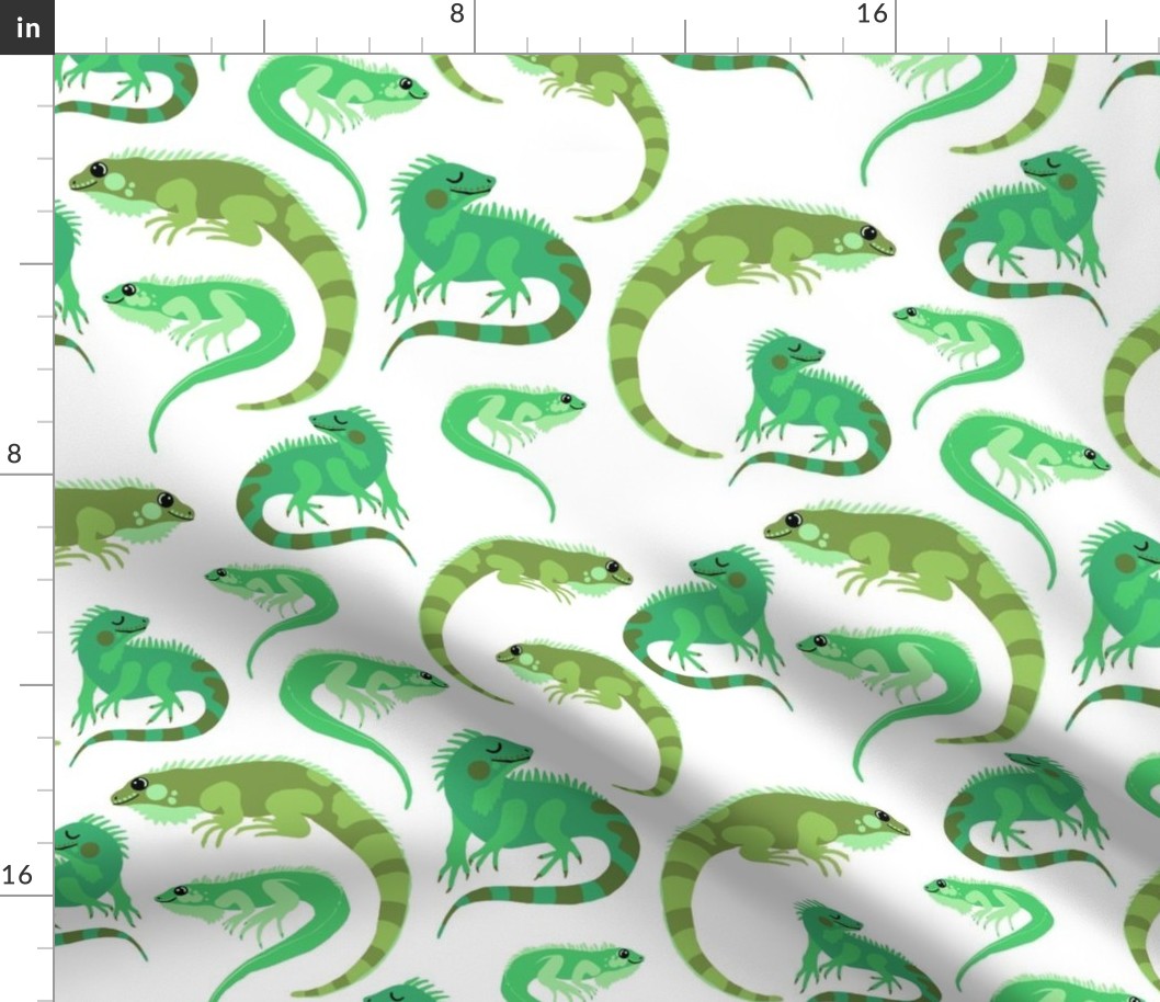 Green Iguanas on White, Medium