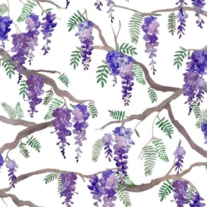 Jumbo Purple Wisteria Vines Watercolor on White