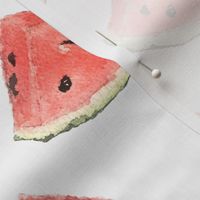 Watermelon Slices Watercolor on White