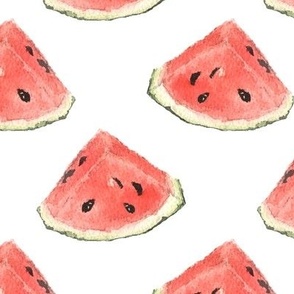 Watermelon Slices Watercolor on White
