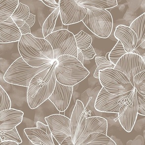 Amaryllis Belladonna Lily Line Drawing, White on Neutral Cocoa Brown