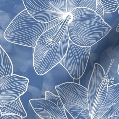 Amaryllis Belladonna Lily Line Drawing, White on Blue