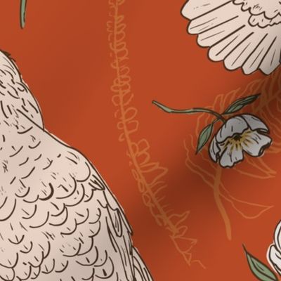 kea Cheeky Parrot – Red-orange  background