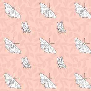 butterflies on abstract pink leaves background