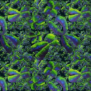 Chromosomes In Space - Dark Forest Green