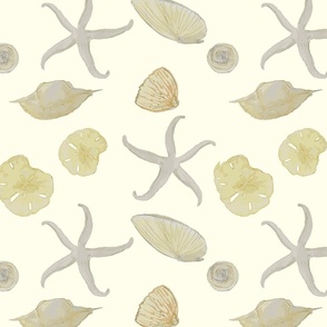 watercolor seashells on creamy yellow background