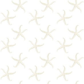 painted starfish on white background