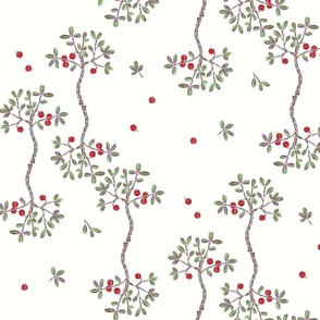 Bonsai Tree - lingonberry [white] medium