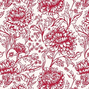 French Chrysanthemum Chic red flowers and white background