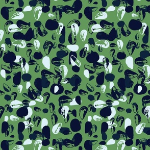 shells with a green background
