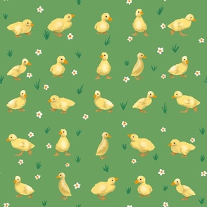 Ducklings Dance