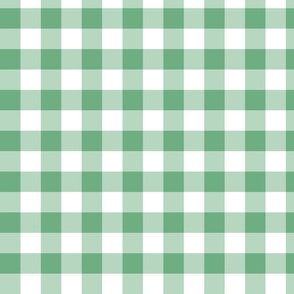 Grass Green Gingham Check Picnic Blanket Small