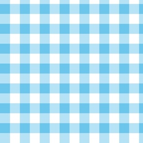 Sky Blue Gingham Check Picnic Blanket Small