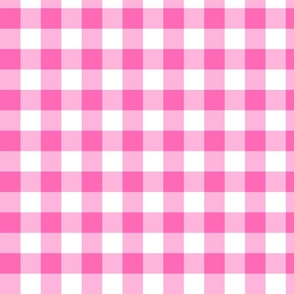 Bright Pink Gingham Check Picnic Blanket Small